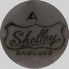 Schelley Chelsea (mark green)