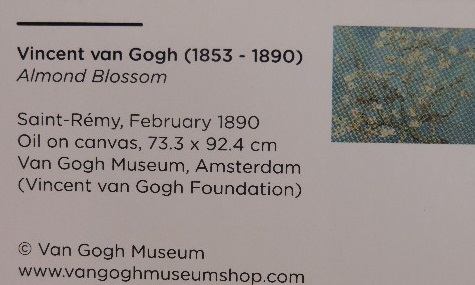 Van Gohg Museum - Amserdam