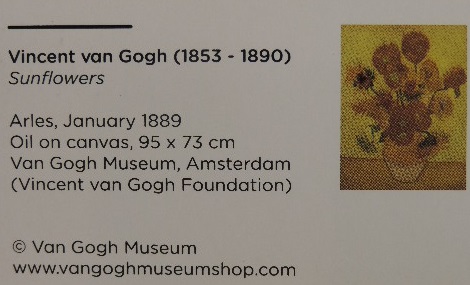 Van Gohg Museum - Amserdam