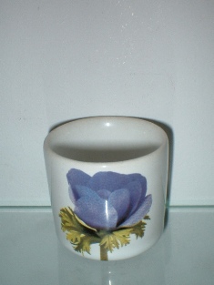 Line Anemone