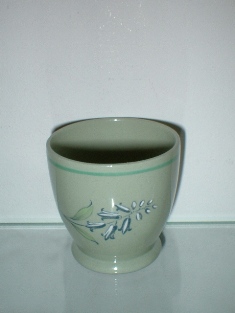 Spode - Flemish Green Jacinth S. 2860 (mark black)
